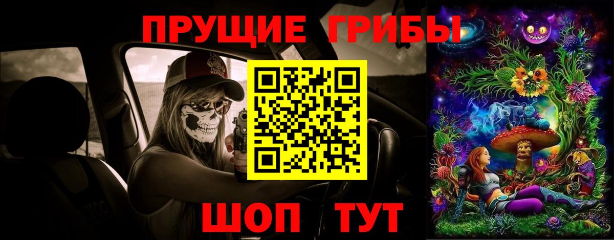 Псилоцибиновые грибы Psilocybe  Вход с VPN  Красноперекопск 
